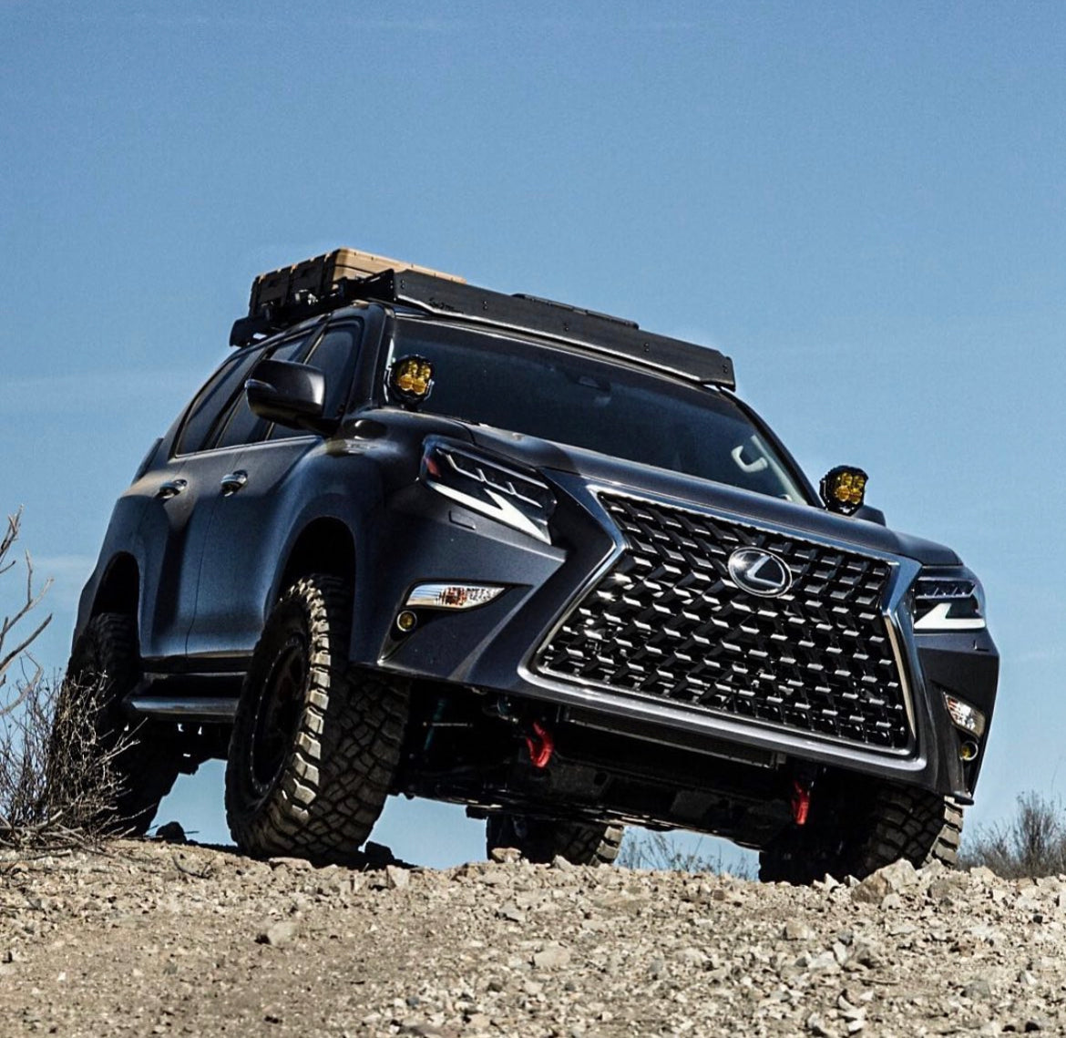 IMG-5992_1170x.jpg?v=1641595325